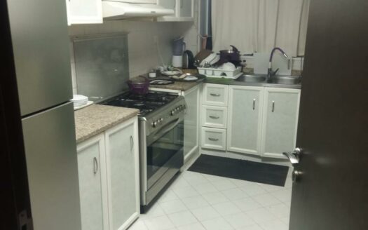 2 BEDROOM AND HALL IN PEARL AJMAN TOWER FOR SALE